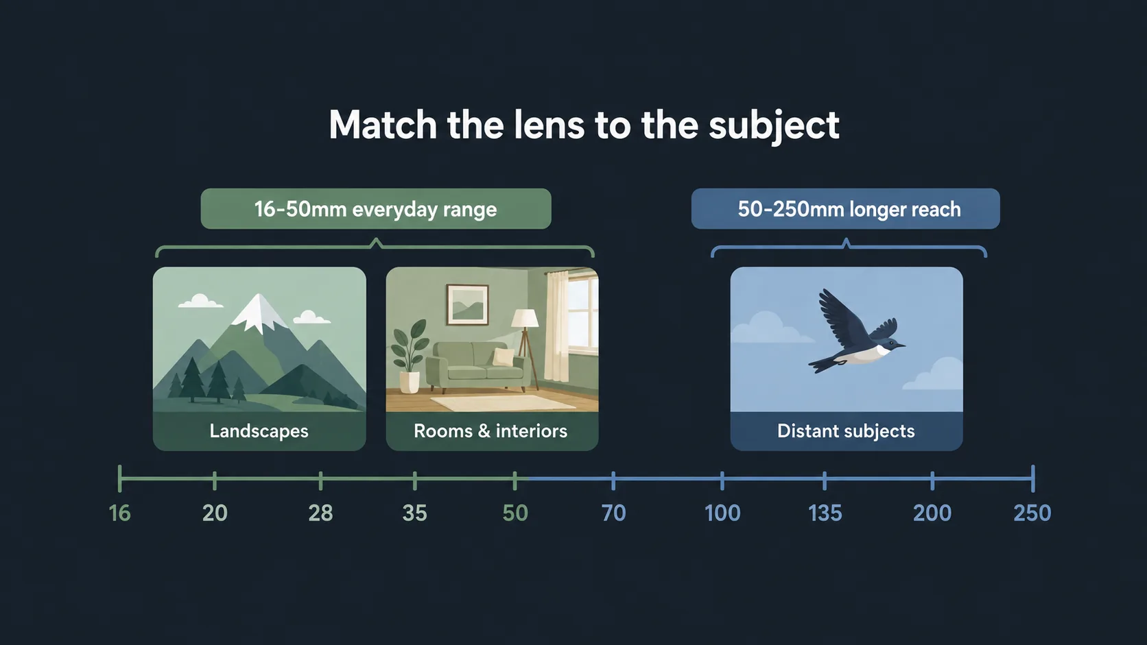 Diagram explaining everyday zoom and longer reach lenses