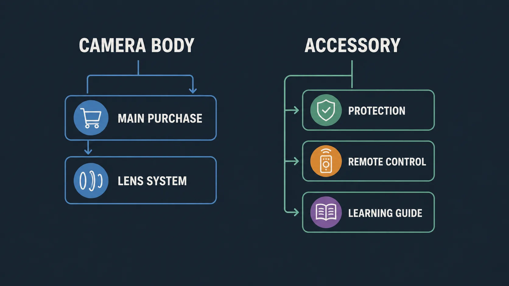 Sony A1 Black Friday/Cyber Monday 28 Diagram separating camera bodies from camera accessories